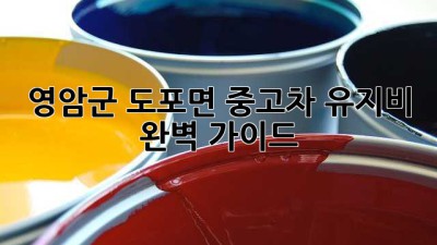 영암군 도포면 중고차 유지비 완벽 가이드!
