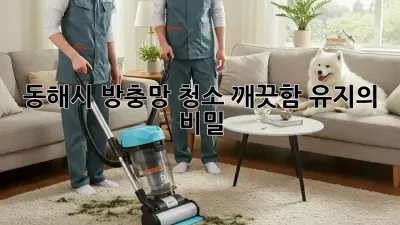 동해시 방충망 청소, 깨끗함 유지의 비밀!